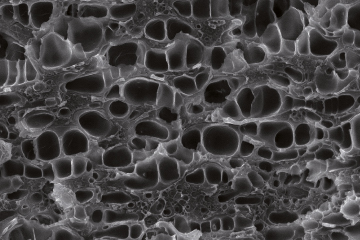 Polymerschaum | Polymer Engineering Bayreuth